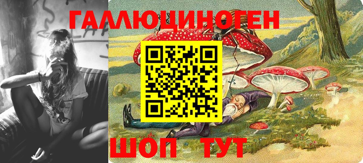 Псилоцибиновые грибы мицелий Грозный